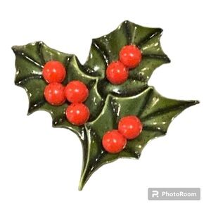Vintage poinsettia brooches pin
